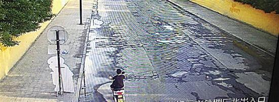 回家路上女子被拖进路边绿化带 民警5小时破案