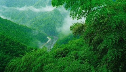 取景地之一安吉大竹海