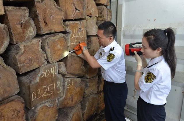 全国首次 金华截获一只“偷渡”来的非洲帝王蝎_大浙网_腾讯网