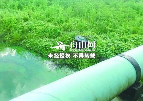 朱家桥村人口_芜湖朱家桥湿地公园(3)