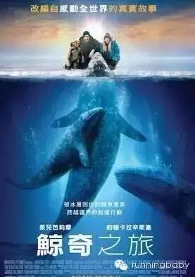 十部适合孩子的动物主题电影 学会感恩 勇气和