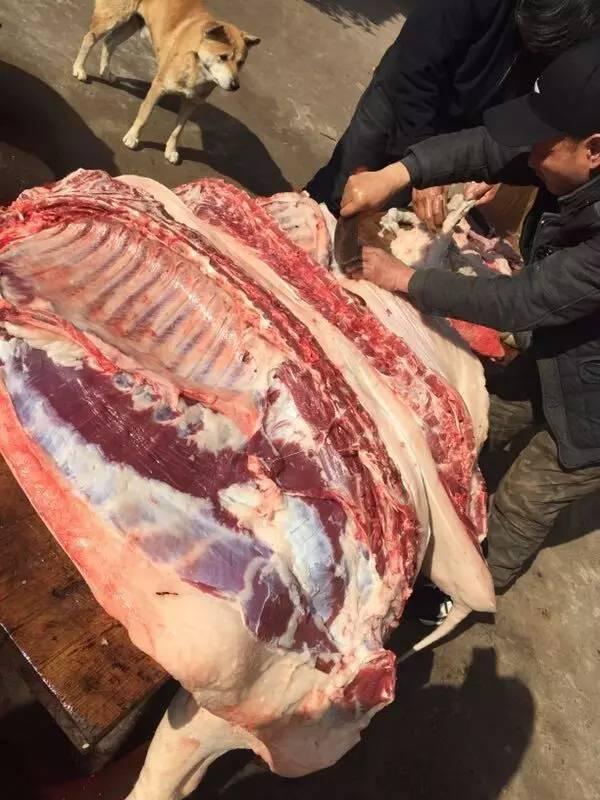 去头去内脏之后的猪肉,遂昌农村方言称为"片子",一般是毛猪的七折,这