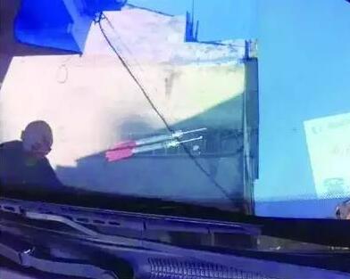 小轿车内12条狗均死于毒镖射杀 误食后可能致命