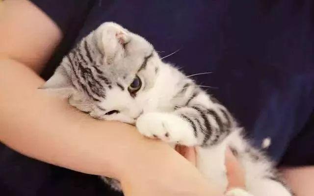 147116435.jpg