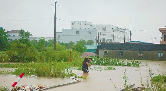 调风镇坎园村人口多少_宜丰县石市镇人口多少