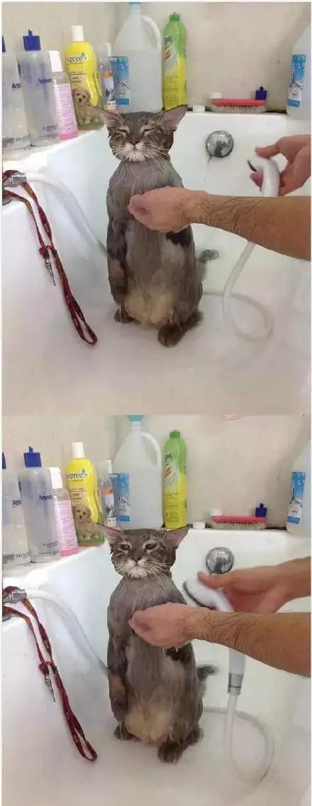 兴源环境：农牧配备事务包含建造、设备出产与出售成功研制智能饲喂器产品