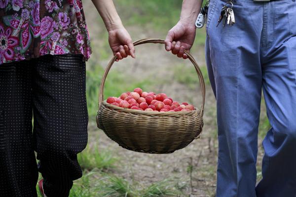 上虞二都杨梅节6月12日在一号店拉开帷幕