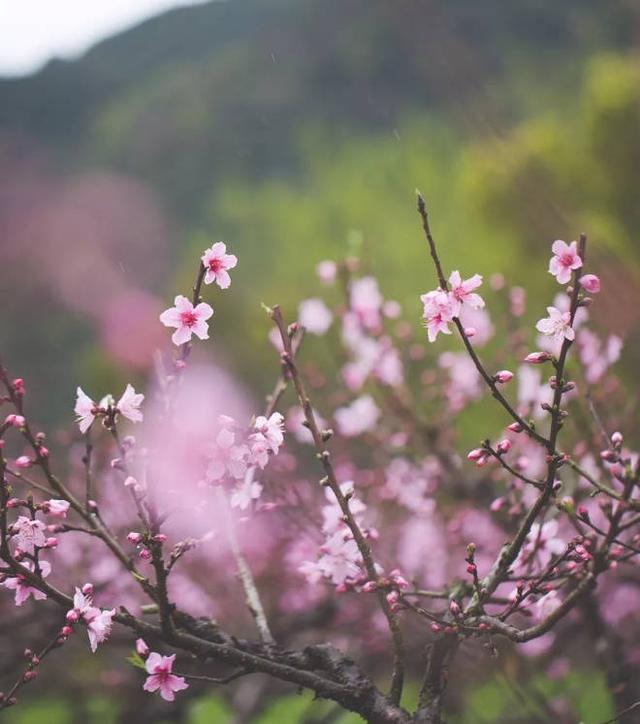 唯美宋词里的意境 竟全藏在浙江这座城市里
