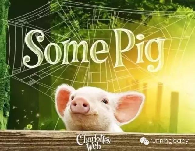 十部适合孩子的动物主题电影 学会感恩 勇气和