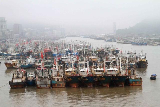 舟山史上最严禁渔期 13艘偷捕渔船被追捕