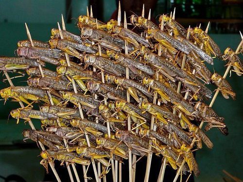 组图:外国人眼中各国特色小吃