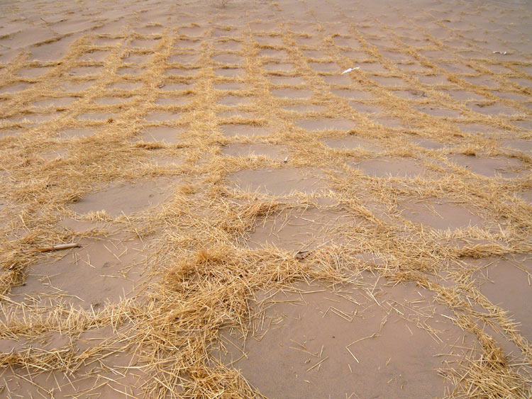 甘肃民勤特大沙尘暴吹翻拖拉机