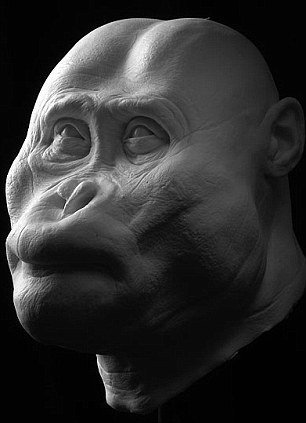 新人种出现进化史或被改写(转)