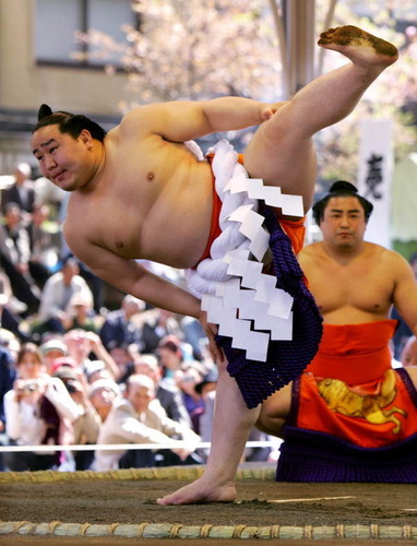 日本最帅相扑运动员图片