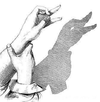 组图:手影全集 猜猜是什么