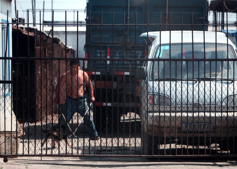 无牌屠宰场每日杀狗300条  wbr>,一开工全村狗哀号.