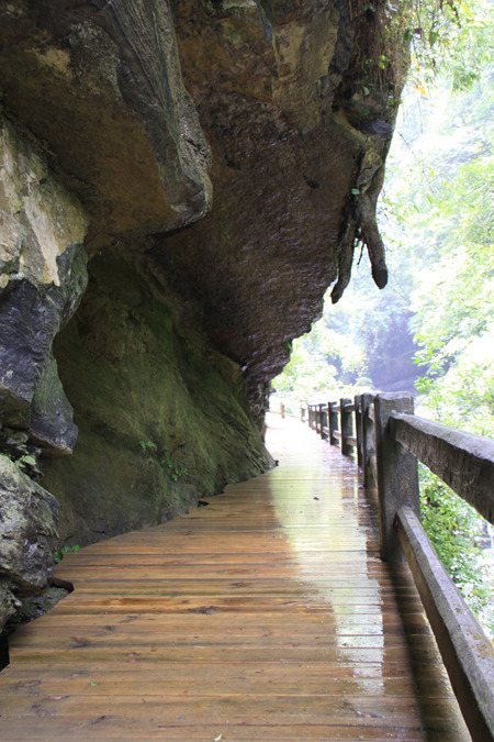 组图:金佛山碧潭幽谷景区_娱乐图库_腾讯·大渝网