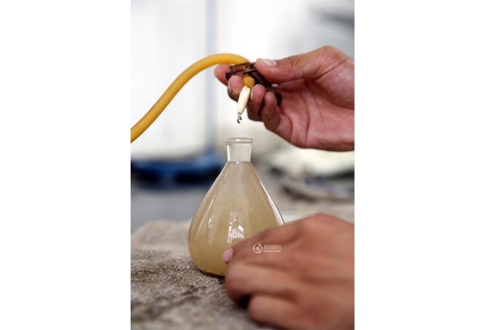 检测含沙量一点也不能马虎,按照规定量杯里的水要放满.