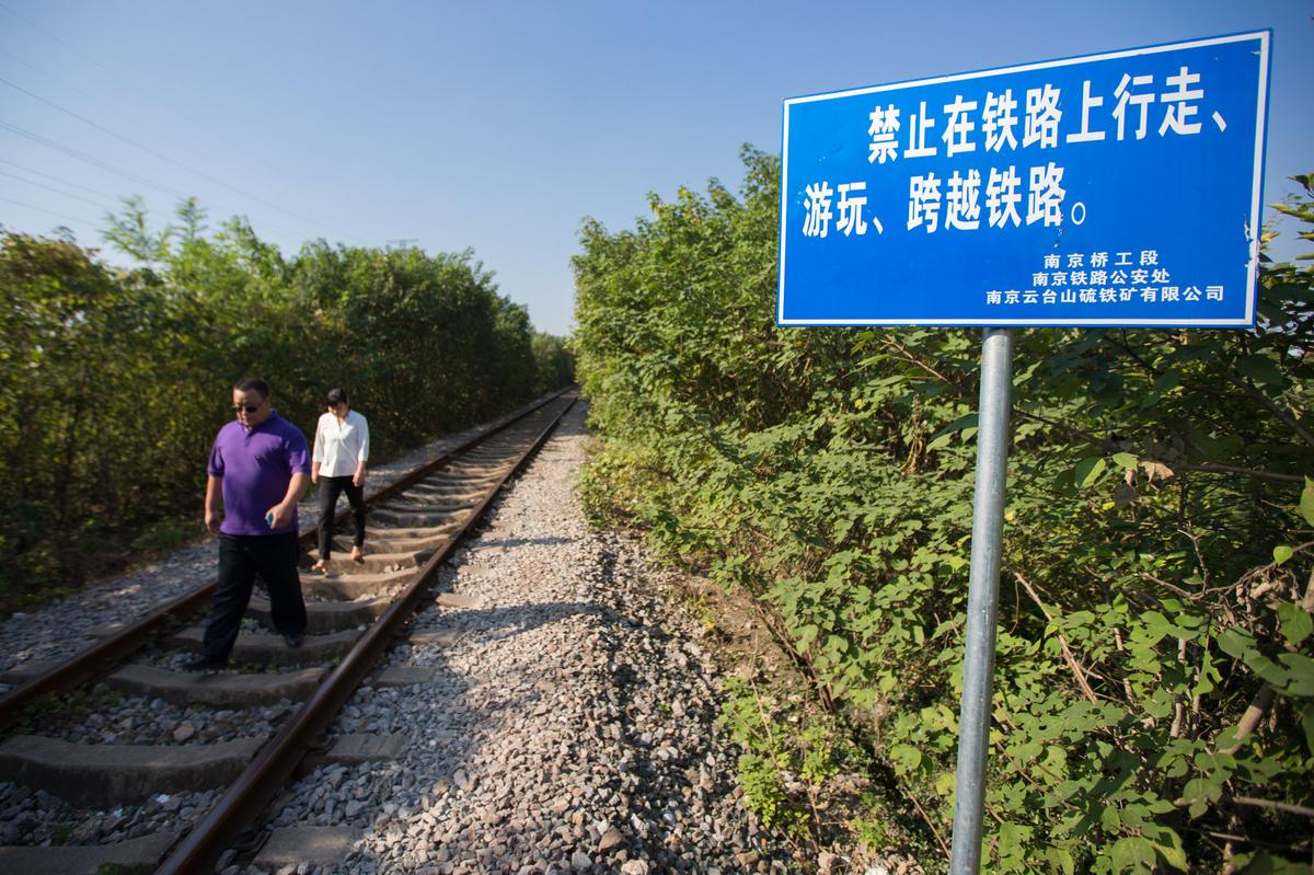 南京"爱情隧道"因游客太多 沿途树木要砍光