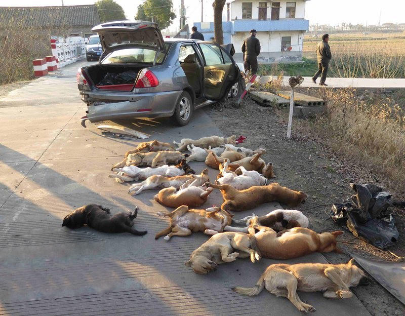 上海林木广告传播有限公司