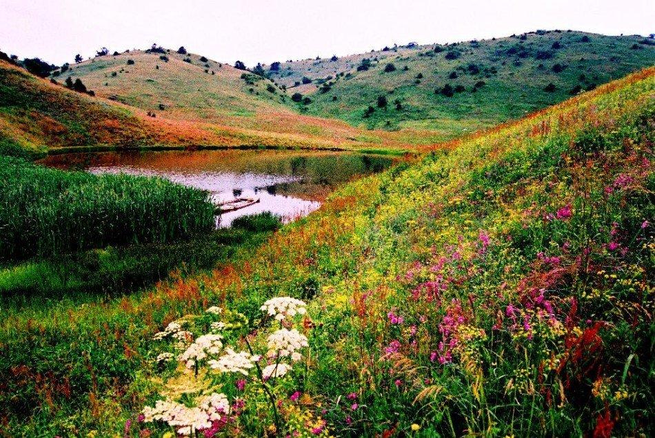 镜头下的岚皋神河源风光