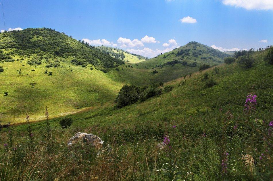 镜头下的岚皋神河源风光