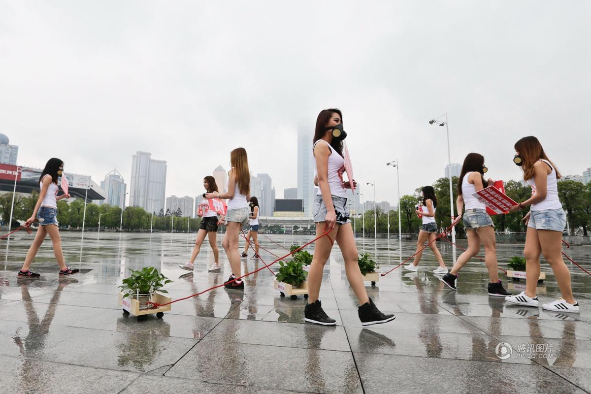 植树节广州10名美女上街"遛植物"