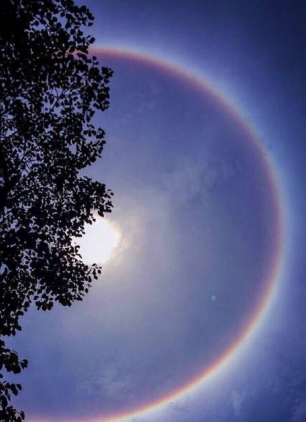 转载《恩施上空昨现日晕 罕见天象引市民拍照》