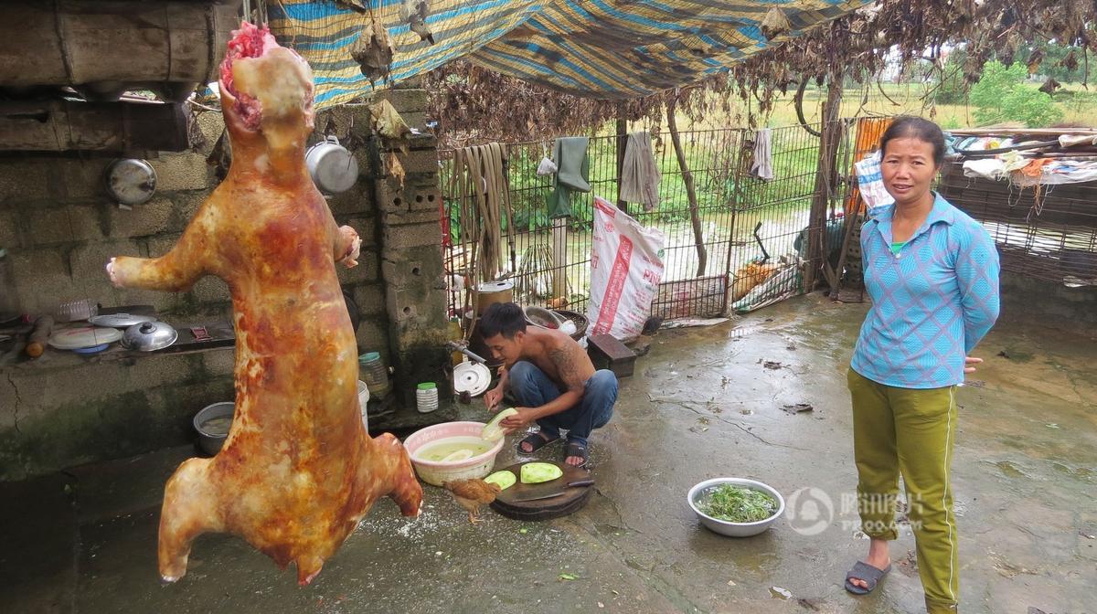 探访越南重口味猫肉餐厅 数十宠物猫被杀害(组图)