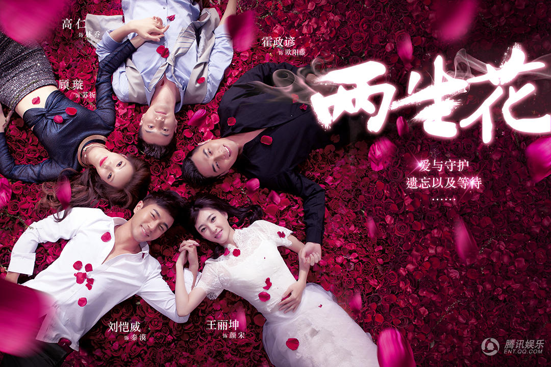 江苏卫视两生花今晚开播刘恺威苦追王丽坤
