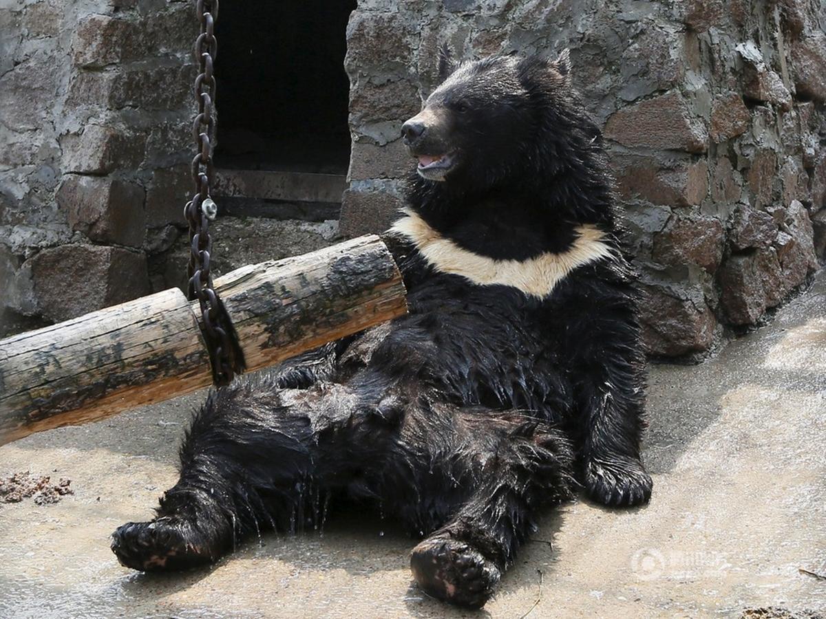 500年"最狠"热浪来袭 欧洲开启"烧烤模式"