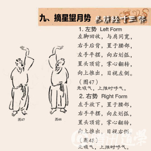 跟我学道家养生秘笈 《易筋经》十三势