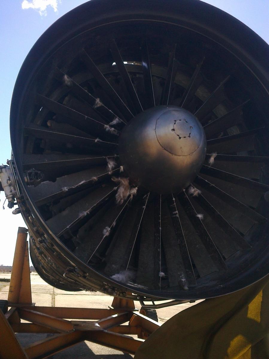组图:俄al-31发动机"吞鸟"后惨状