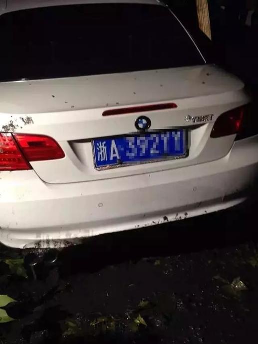 开车玩手机 90后男子驾宝马冲进西湖