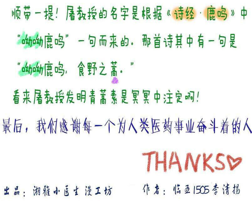 醫學生漫畫闡釋 屠呦呦 青蒿素 網上受熱捧圖片 83848 805x657