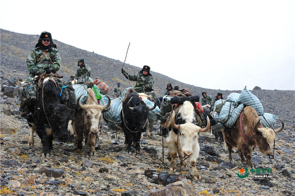 组图:牦牛骑兵巡逻"死亡谷" 地势险恶军马无法通行