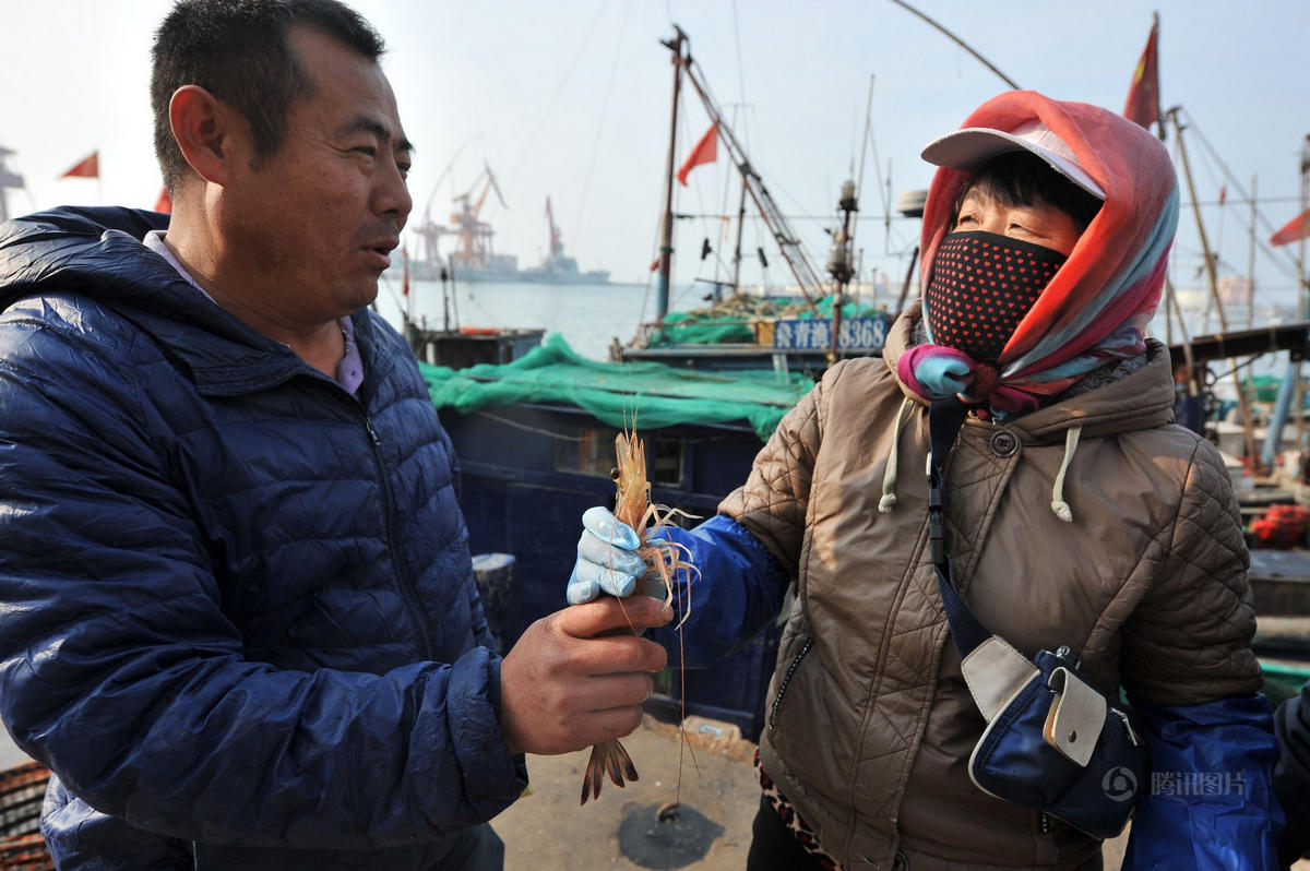 青岛海捕大虾事件图片