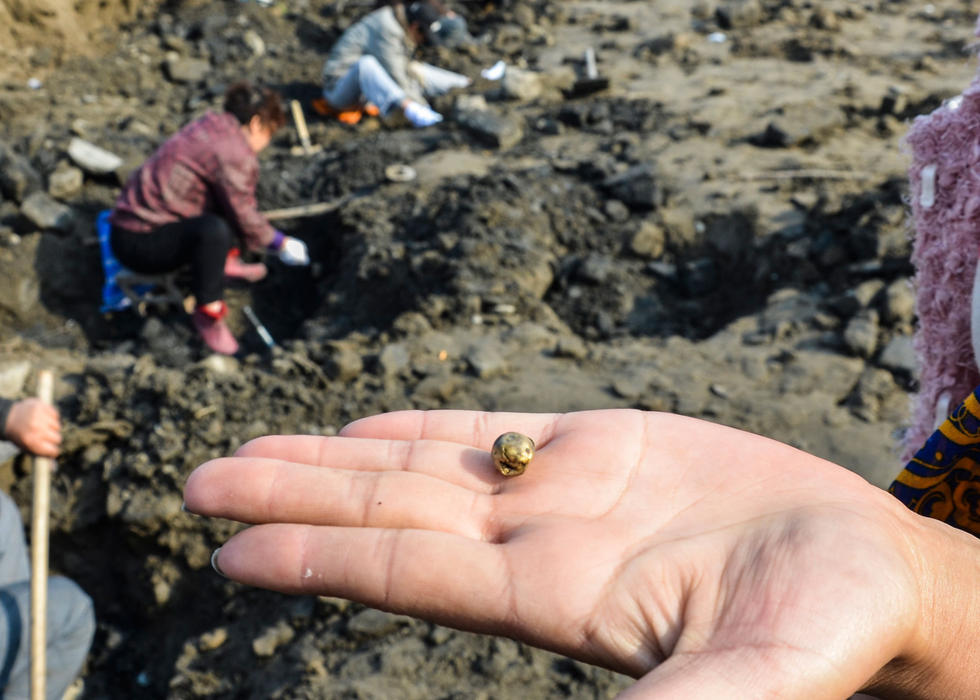 河南卫河清淤现金银财宝 引村民争相挖宝