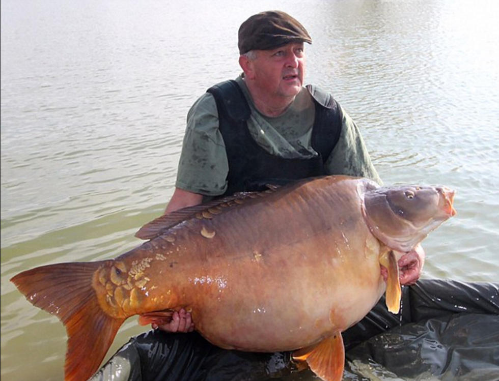 英国渔夫捕获近百斤重大鲤鱼