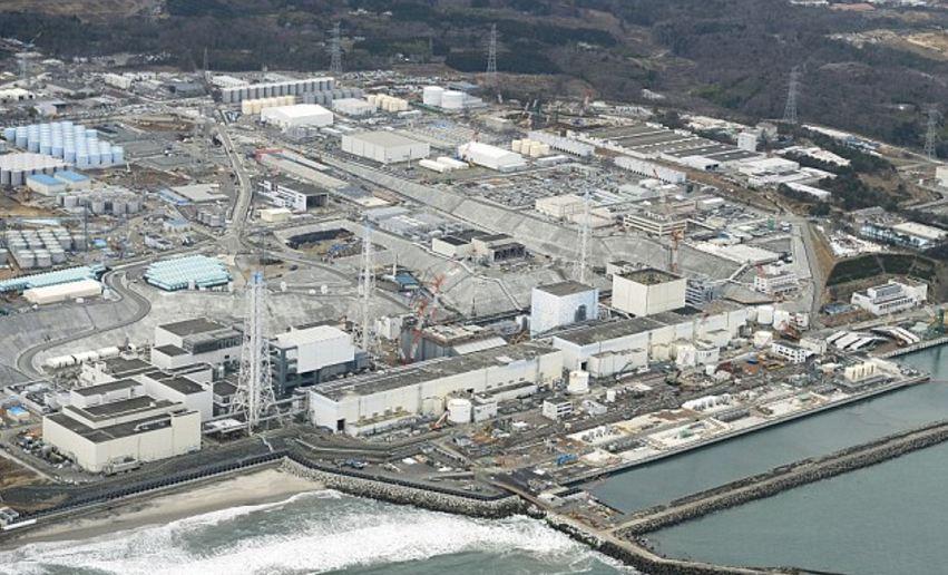日本福岛野猪遭核污染变异泛滥成灾