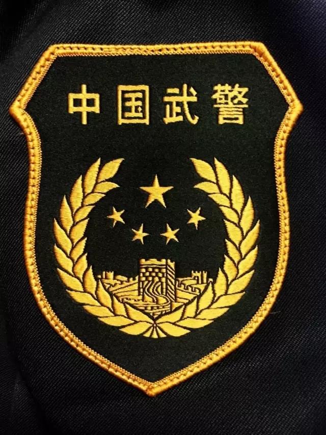 全国武警官兵5月1日起全面佩戴新式标志
