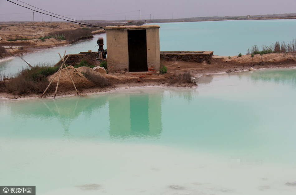 江苏连云港一盐田池水变绿 引发市民围观