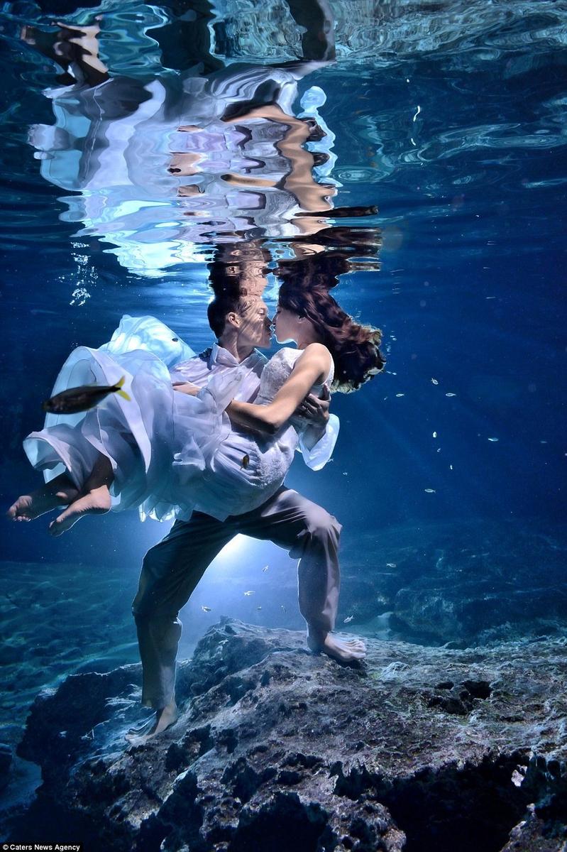 水下婚纱照成新时尚 美轮美奂仿若水晶宫