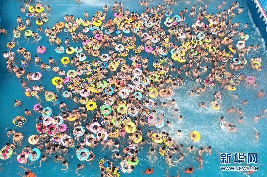 重庆泳池呈现"下饺子" 市民挤爆水乐园_体育_腾讯网