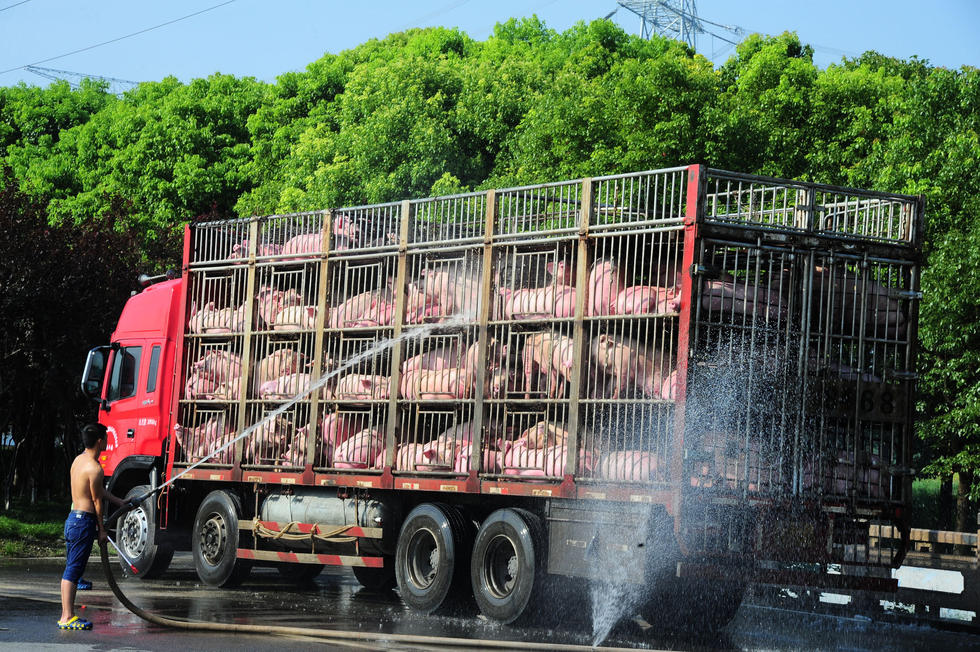 酷热天车厢变烤箱,百余二师兄险成烤猪 zt