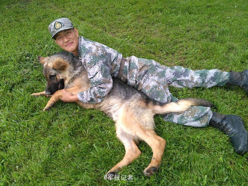 【转载【图片新闻】老军犬守护边境线长达8年 近期光荣退役