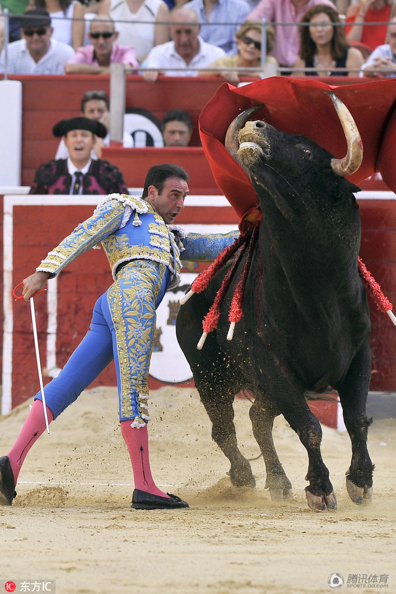 组图西班牙惊险斗牛斗牛士被牛角顶向空中