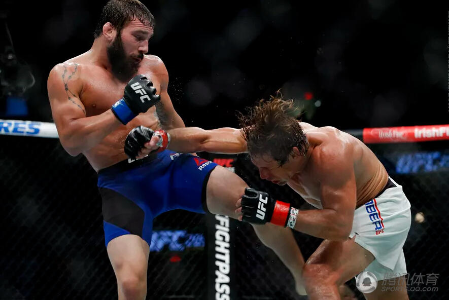 高清ufc203精彩集锦米欧奇地面砸拳ko毁灭者