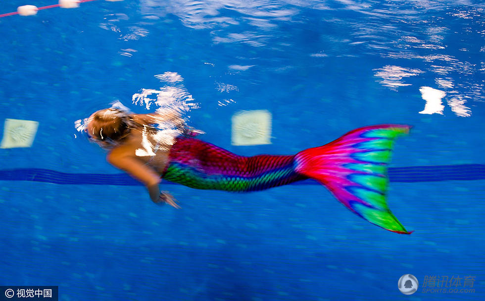高清:德国办美人鱼游泳赛 选手穿鱼尾入水
