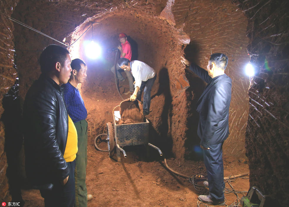农民挖千米长洞做酒窖 内有分支如迷宫